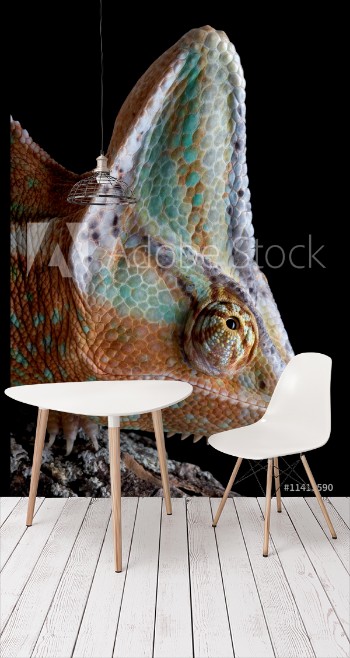 Bild på Chameleon on log